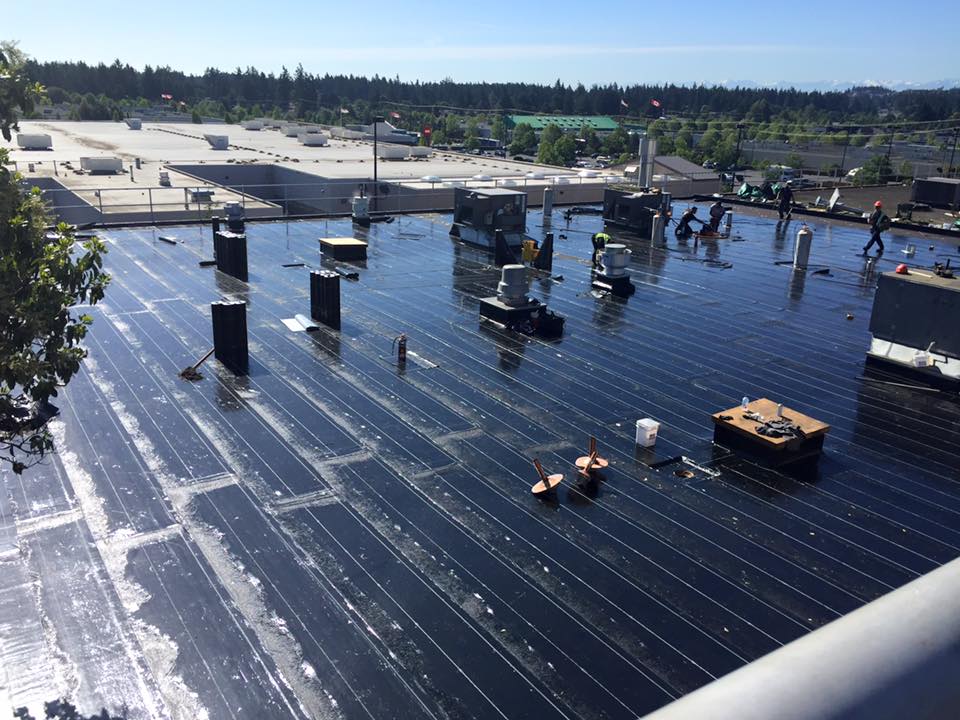 commercial-flat-roof
