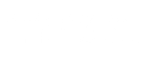 Icon: 9800+ roofs completed